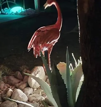 Romaga Hébergement de vacances *