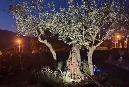 Romaga Hébergement de vacances Vernet-les-Bains